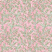 All. 60g, rl 50x0,70-m Lianes or rge vert/ St.