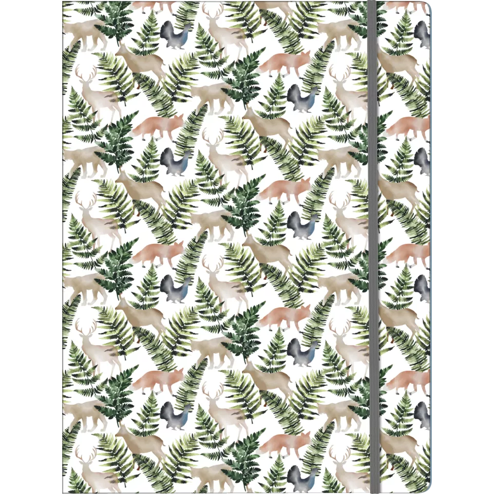 La vie en Vosges, Elastomap-/ St.