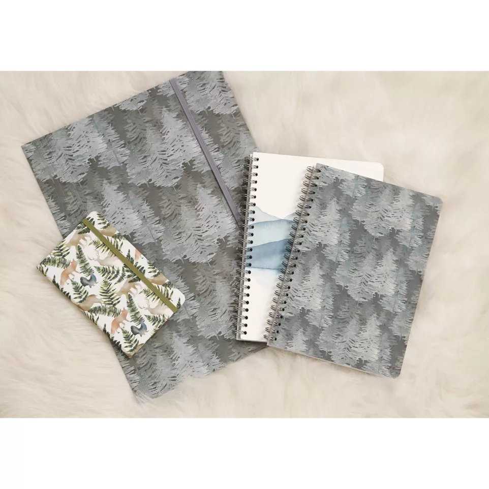 La vie en Vosges, Elastomap-/ St.