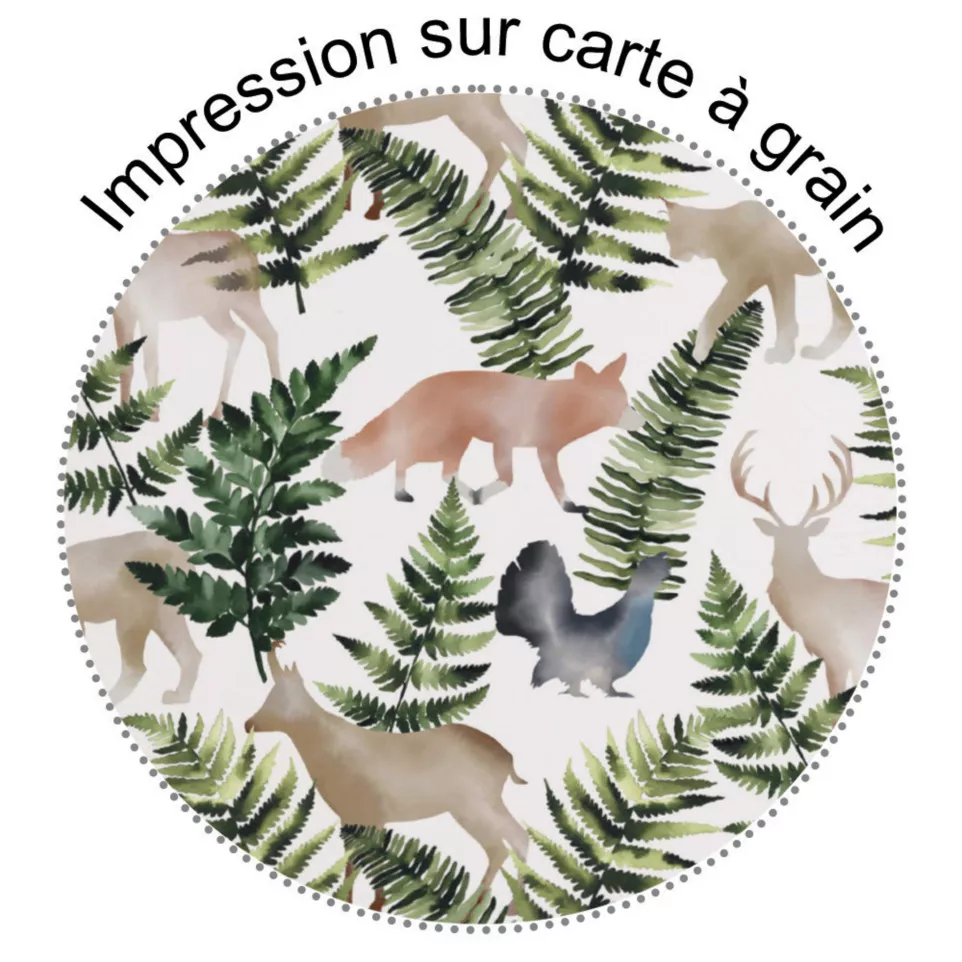 La vie en Vosges, Elastomap-/ St.