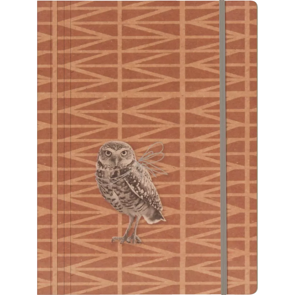 Funny Company, Chemi-se à élastique...