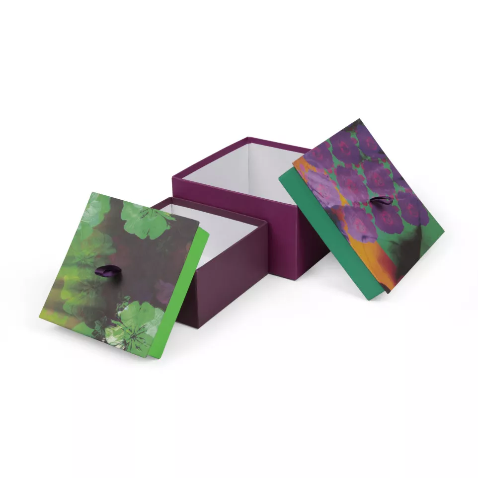 Egerie, 2 dozen vier-kant 20 x 20 x...