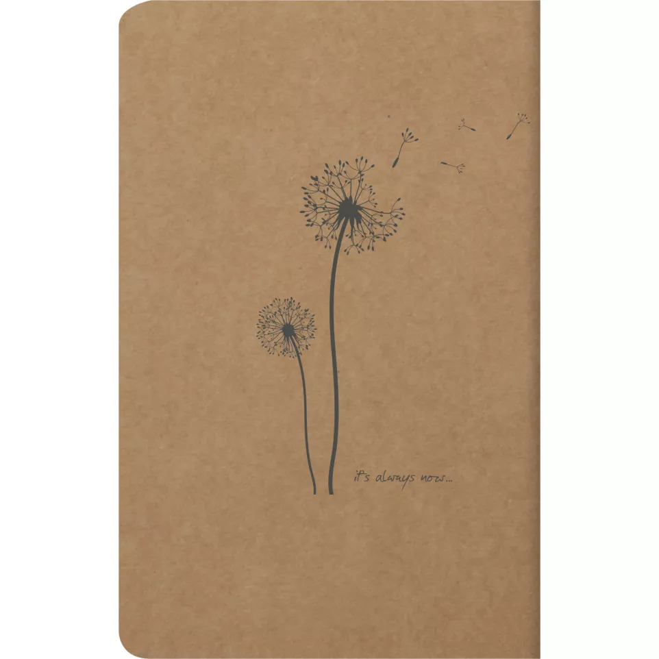 Flying Spir. notabk-48bl 11x17cm...