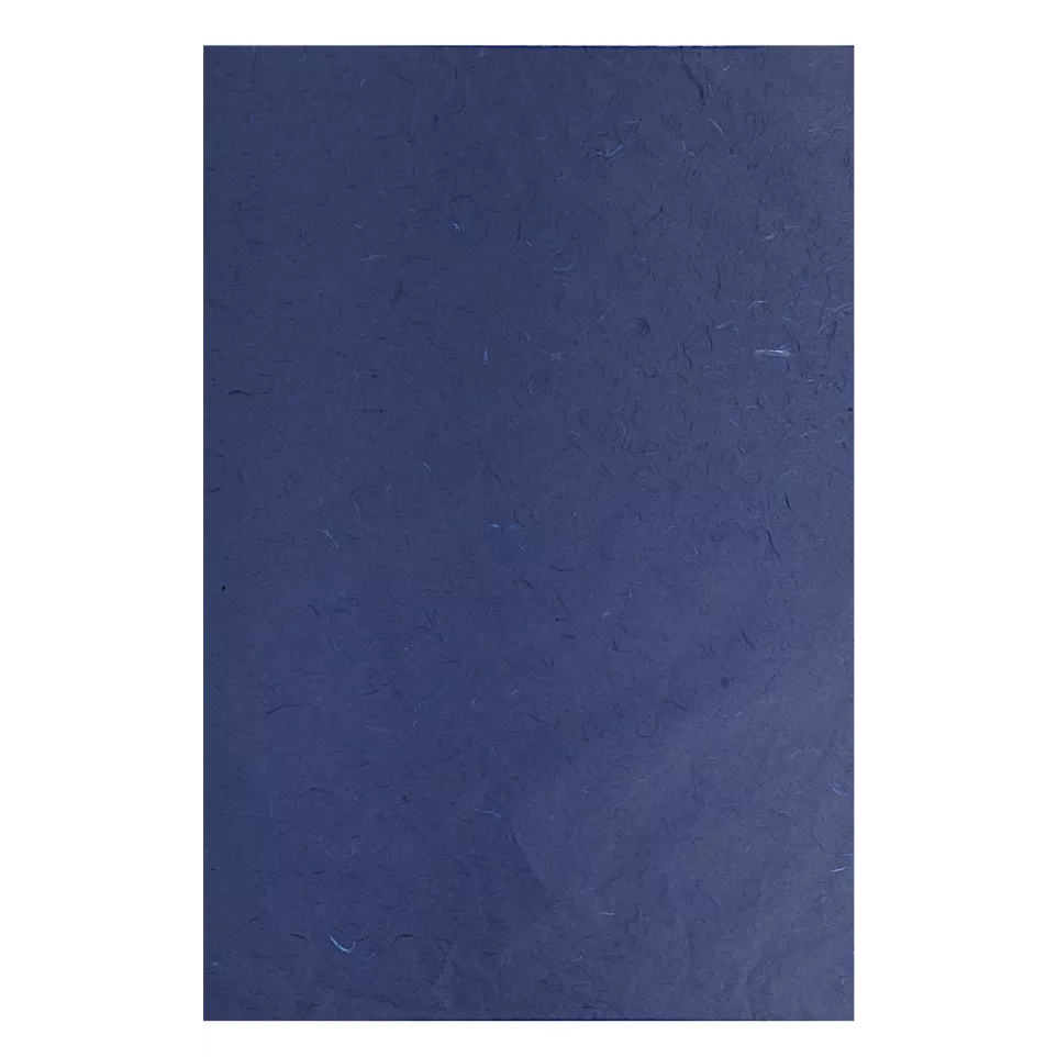 MURIER, 10 FEUILLES--  65*95 BLEU...
