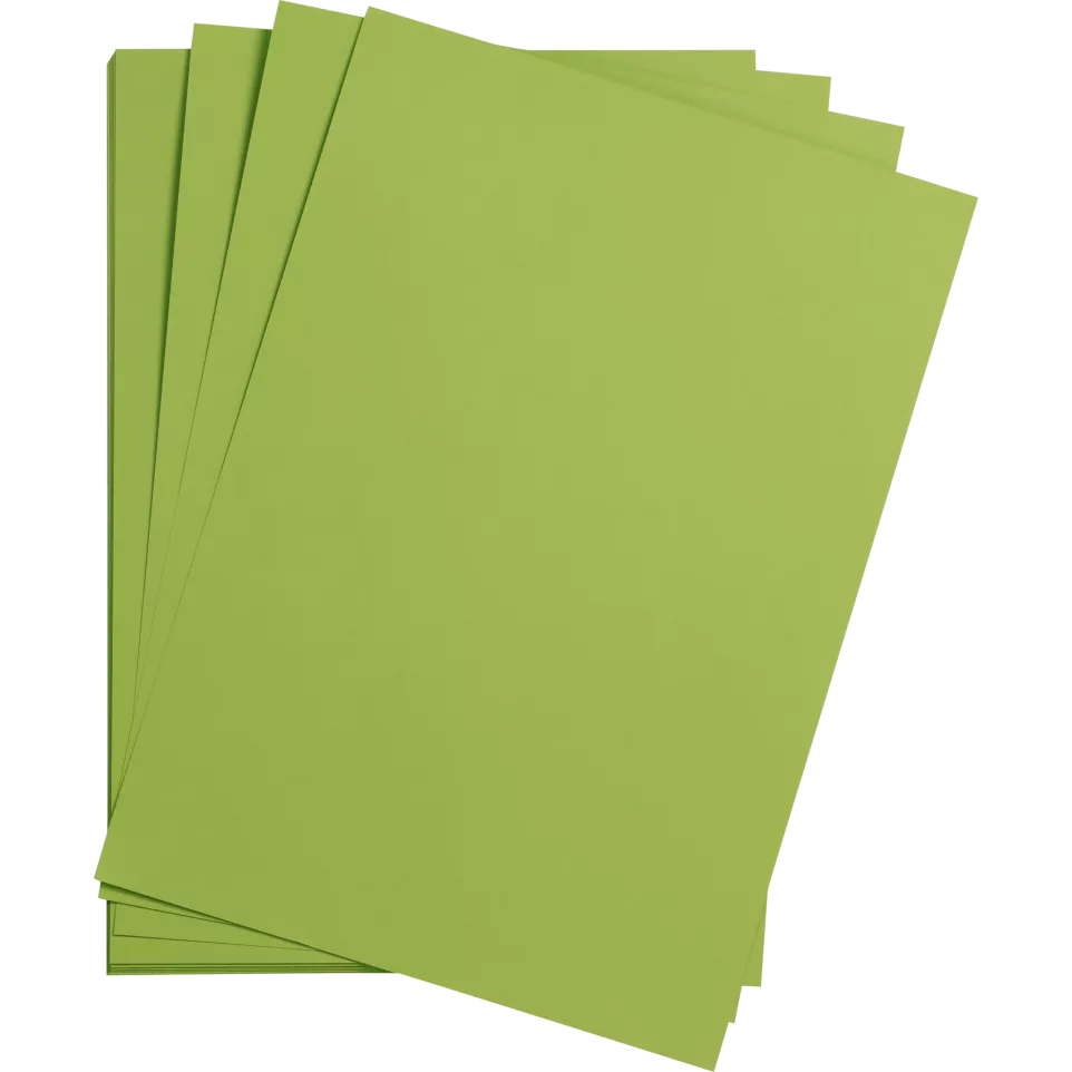 Maya 25bl 270g A4 mosgroen-/ St.