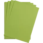 Maya 25bl 270g A4 mosgroen-/ St.