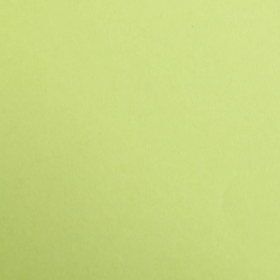 Maya 25bl 270g A4 mosgroen-/ St.