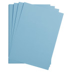 25F. MAYA 270G  50X70 BLEU...