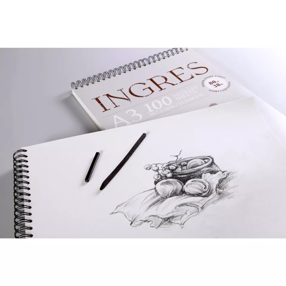 Ingres Study wirebound pad A3 80g 100...