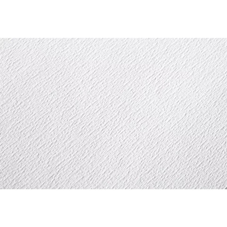 Etival Classic Grain- 300g 50x65 pack...