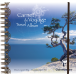 PP travel album 20x20 30sh draw.180g Tree/ Pc.