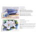 Blok Aquarel N°1 pri-nt  300g 12 bl A4/ St.