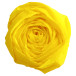 Clairefontaine Crepe Paper roll, 50 metre, 75% crepage/ Pc.