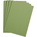 Etival Color paquet 25F A4 160g/ Pce