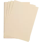 Clairefontaine Etival Colour A4 25sh 160g White/ Pc.