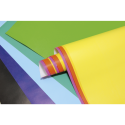 Clairefotnaine Coloured Poster 90g, 60x80cm, Pk 50, Assorted/ Pc.