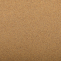 Clairefontaine Ingres Pastel Coloured Sheets 50x65cm/ Pc.