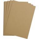 Etival Color 5 bl 160g A4 champagne-/ St.