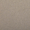 Etival Color 5 bl 160g A4 champagne-/ St.