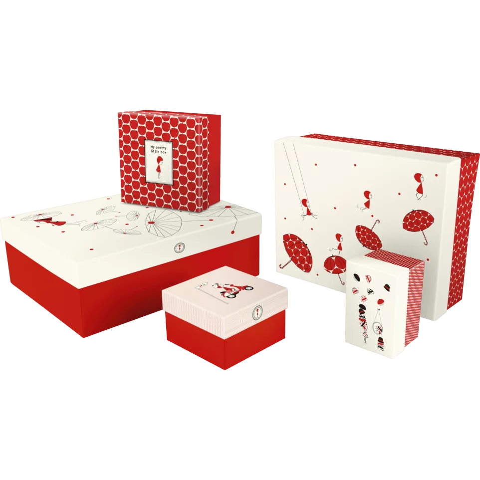 NINA Set 5 boites gi-gognes 44x34x16...