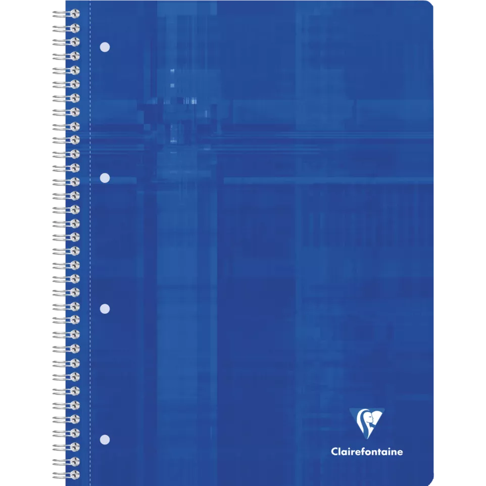 Cahier reliure intégrale A4+ 160...