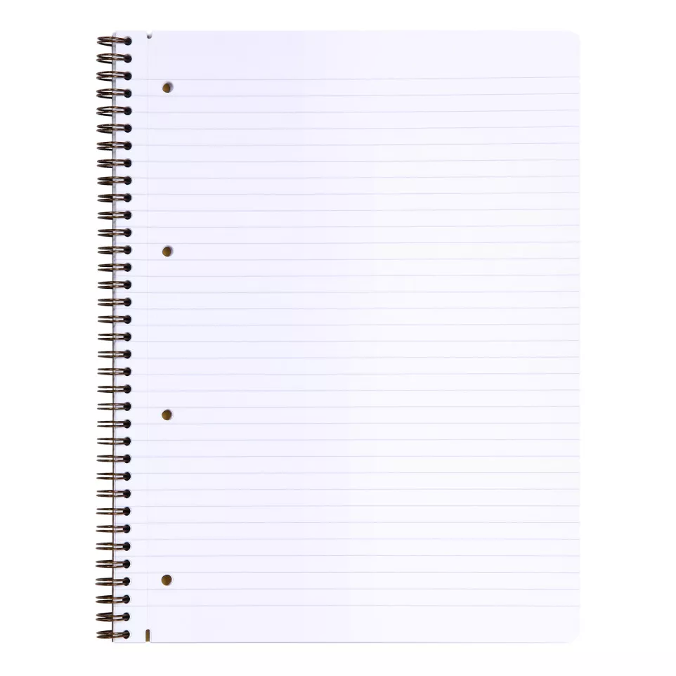 Carnet reliure intégrale Age Bag A4+...