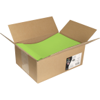 Pollen Envelopes C4...