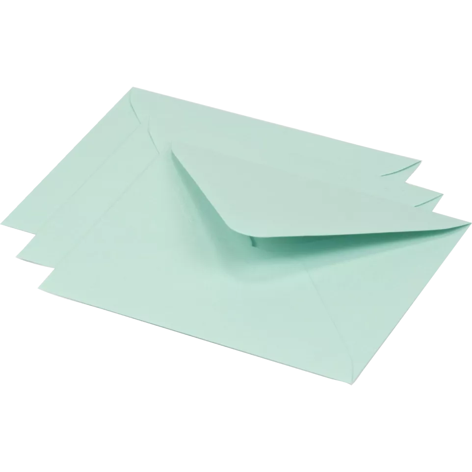 Paquet de 20 enveloppes Pollen...