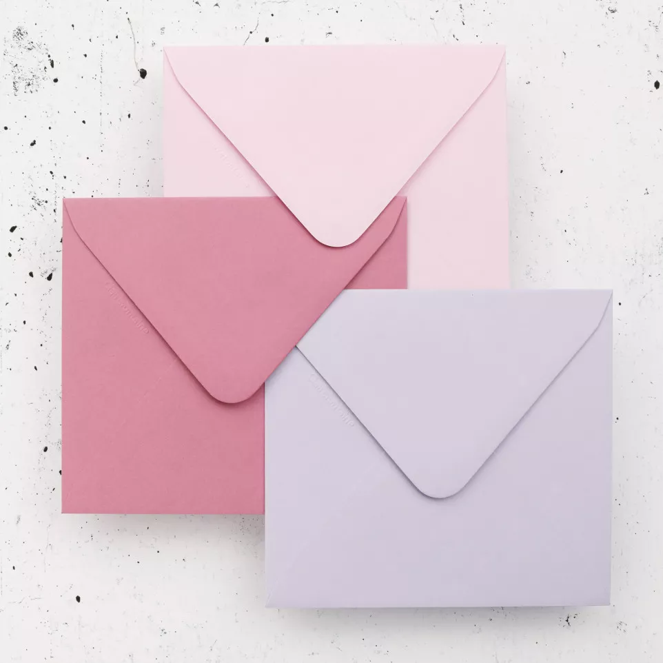 Paquet de 20 enveloppes Pollen...