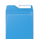 * Pollen 165x165mm 120gsm envelope/ Pc.