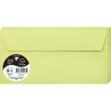 Pollen pk20 env.gom-120g 110x220 knopgr./ St.