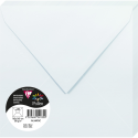 Paquet de 20 enveloppes Pollen 165x165mm 120g/m2/ Pce