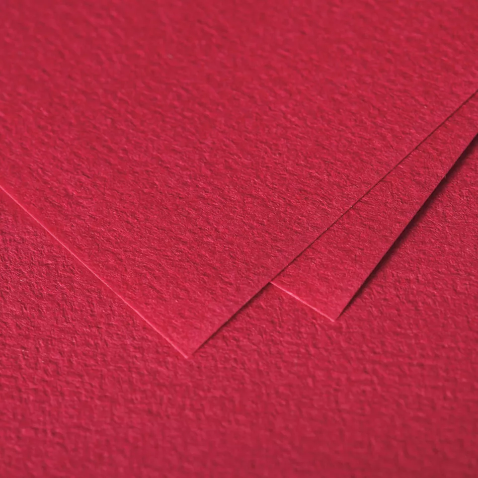 Etui de 25 feuilles Grain de Pollen...