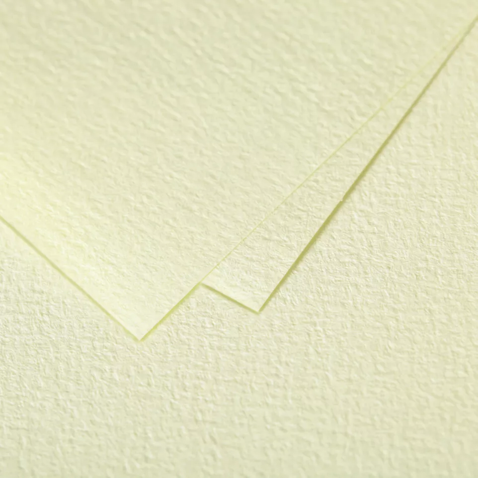 Etui de 25 feuilles Grain de Pollen...