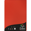 Pollen Card 120g A4 x50/ Pc.
