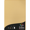 Etui de 50 feuilles Pollen 210x297mm 120g/m2/ Pce