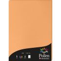 Pollen Card 120g A4 x50/ Pc.