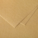Paquet de 5 feuilles Grain de Pollen 210x297mm 120g/m2/ Pce