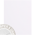 Paquet de 5 feuilles Grain de Pollen 210x297mm 120g/m2/ Pce