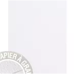 Paquet de 5 feuilles Grain de Pollen 210x297mm 120g/m2/ Pce