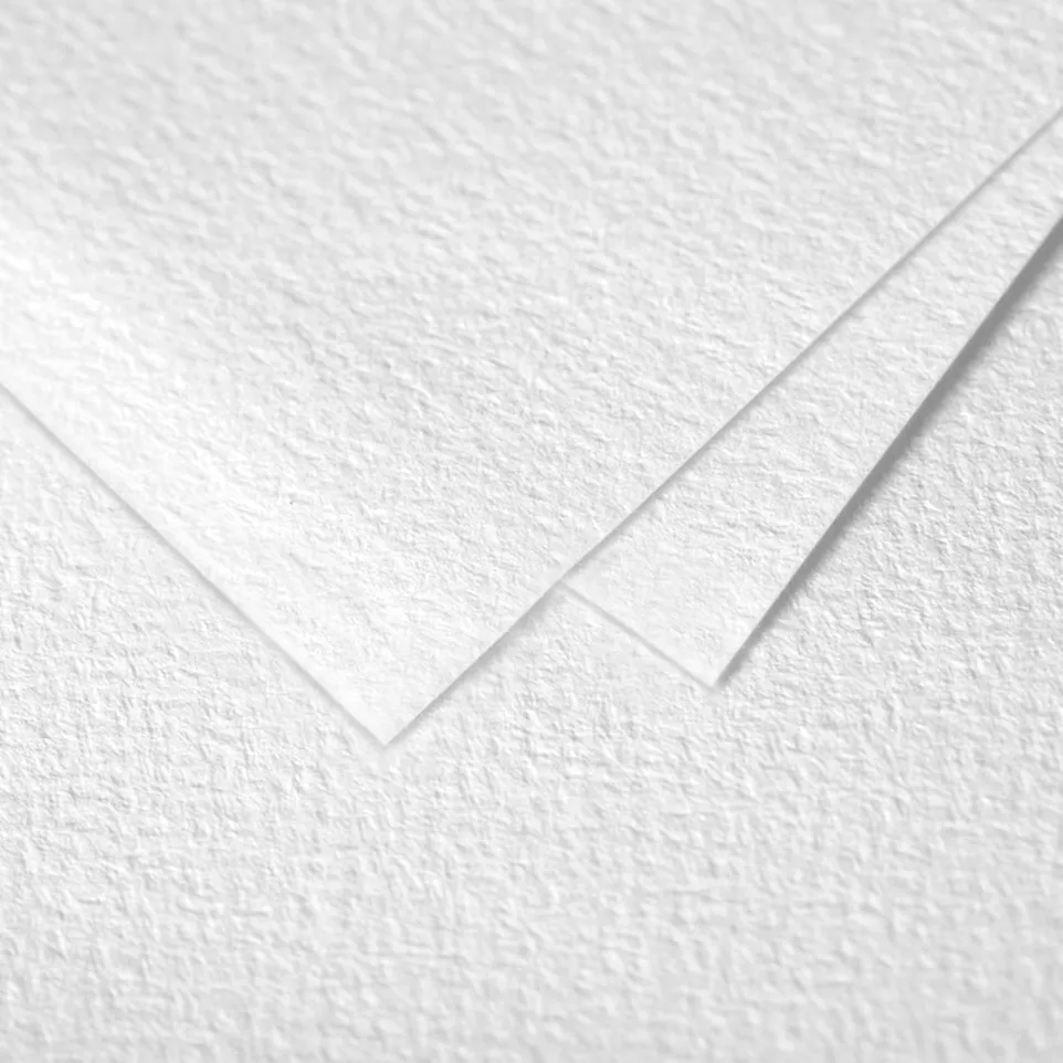 Paquet de 5 feuilles Grain de Pollen...