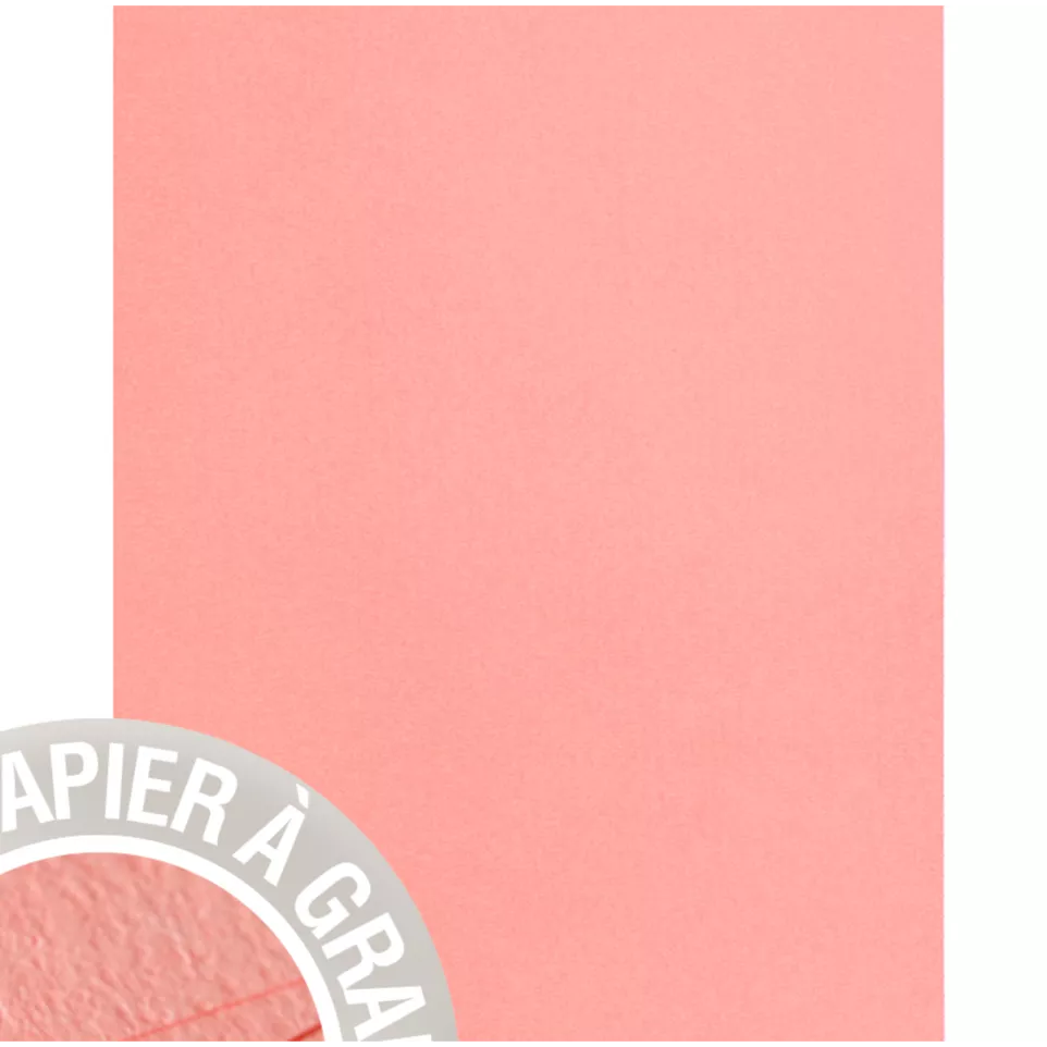 Paquet de 5 feuilles Grain de Pollen...