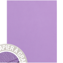 Paquet de 5 feuilles Grain de Pollen 210x297mm 120g/m2/ Pce