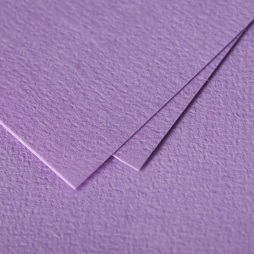 Paquet de 5 feuilles Grain de Pollen...