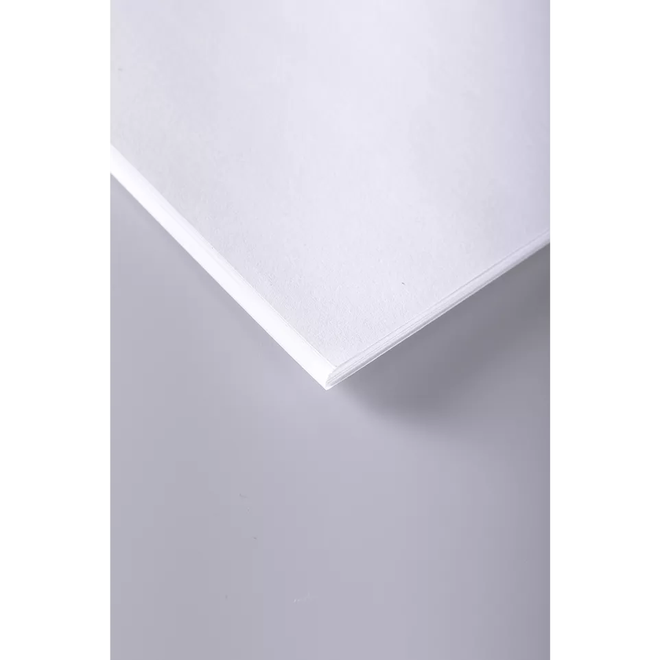 Dessin Croquis rame 10F 75x105cm...