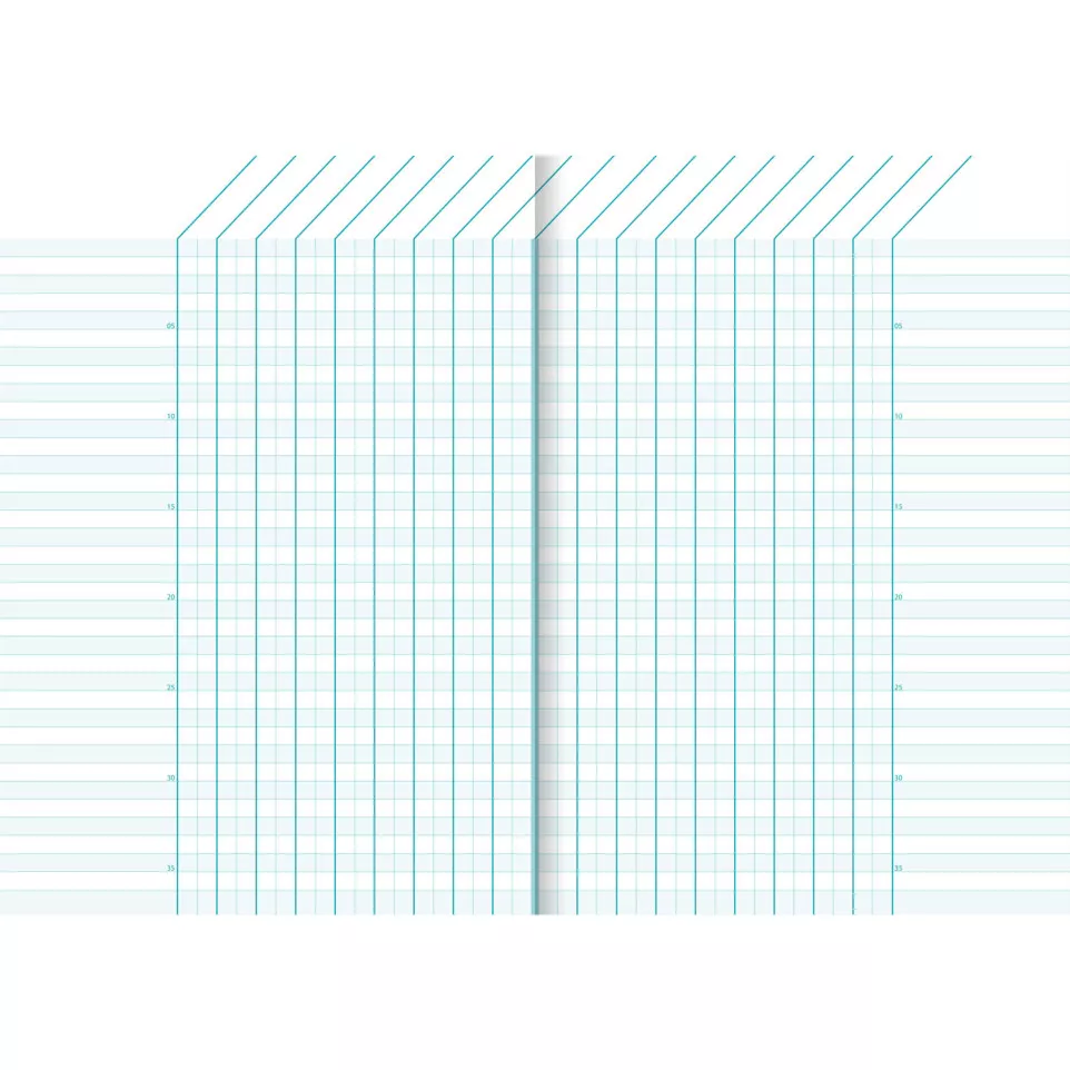 Carnet de bord enseignant piqué A5 40...