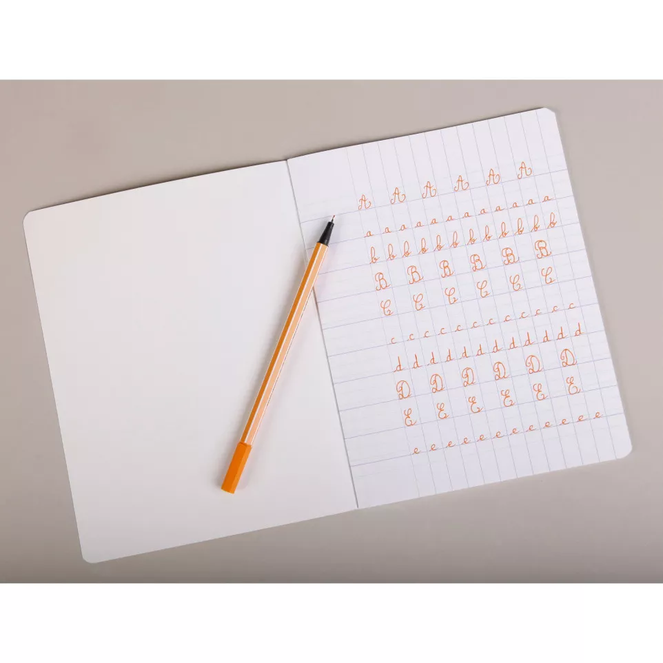 Fables Stapl.ntbk17x-22 16sh DL 3 IV...