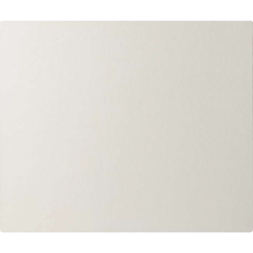 Canvas karton wit ge-coat 10F...