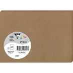 Paquet de 25 cartes simples Pollen 110x155mm 210g/m2/ Pce