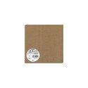 Paquet de 25 cartes simples Pollen 160x160mm 210g/m2/ Pce